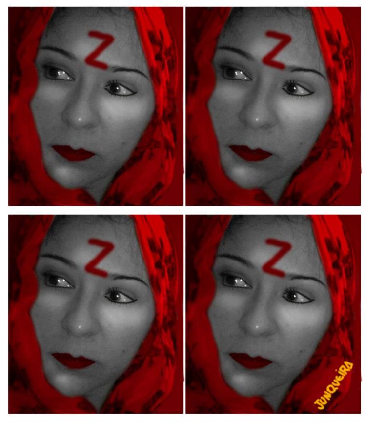 red zappa gui junqueira