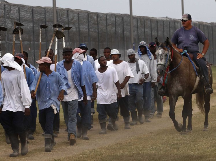 louisiana-prisoners-walking-from-farm-work-detail